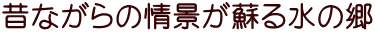 ̂Ȃ̏ih鐅̋ 